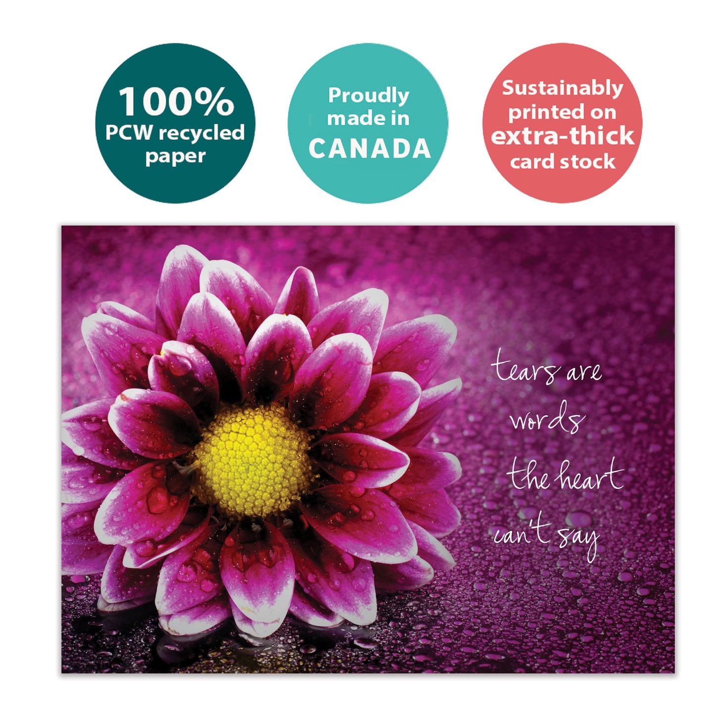 Tears Are Words Sympathy Card