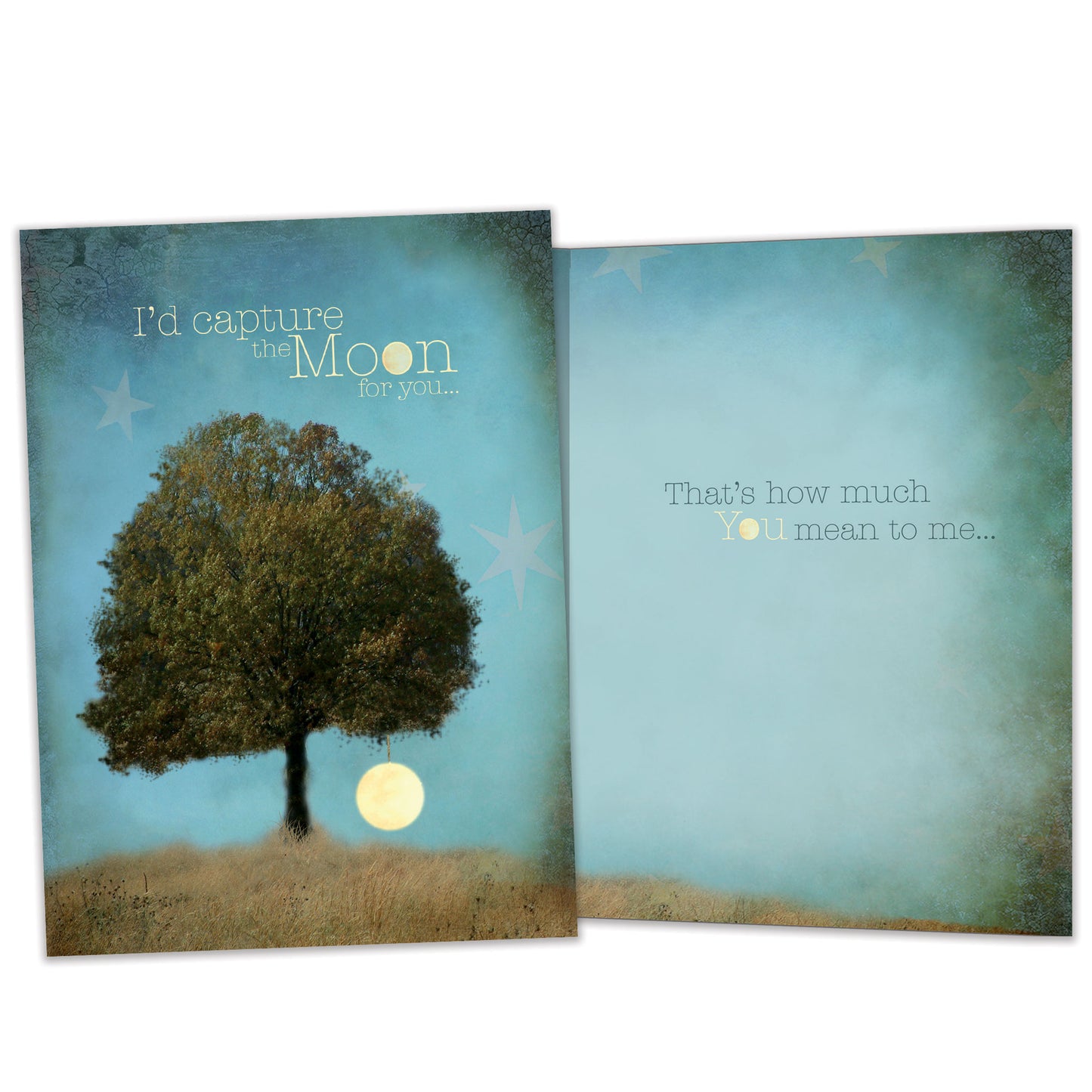 Capture The Moon Friendship Card