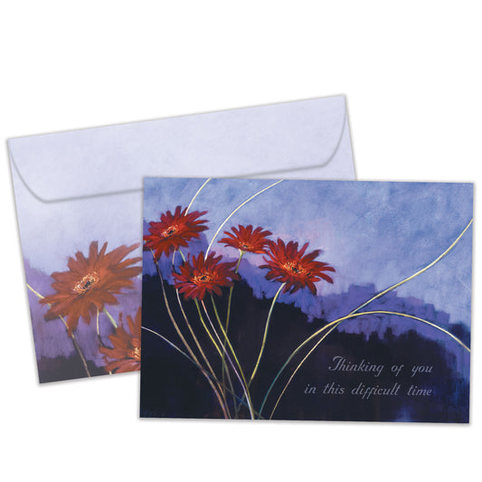 Sympathy In Lavender