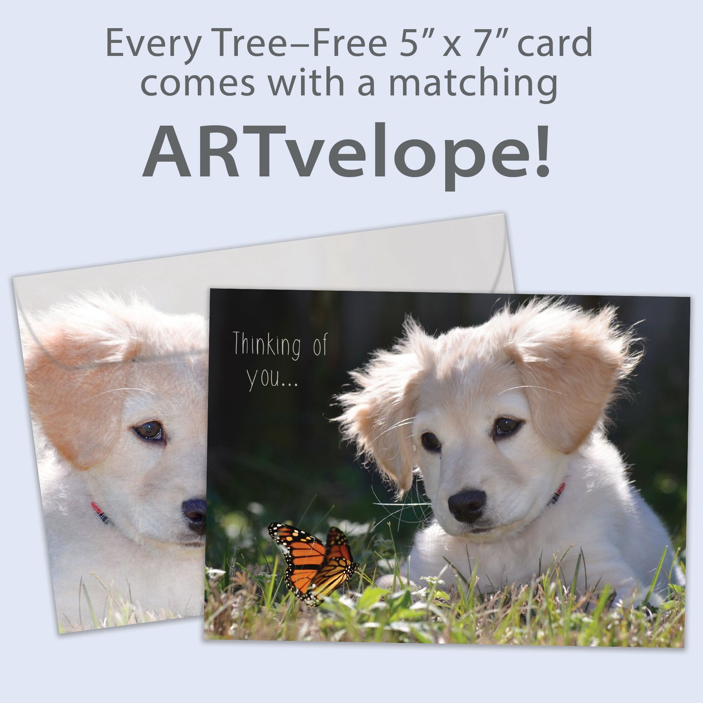 Butterfly Thoughts Friendship Card