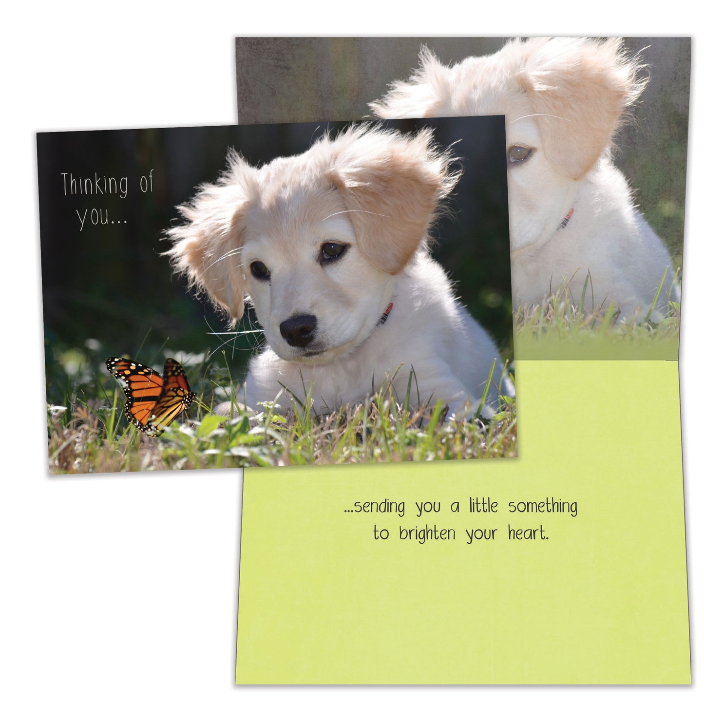 Butterfly Thoughts Friendship Card