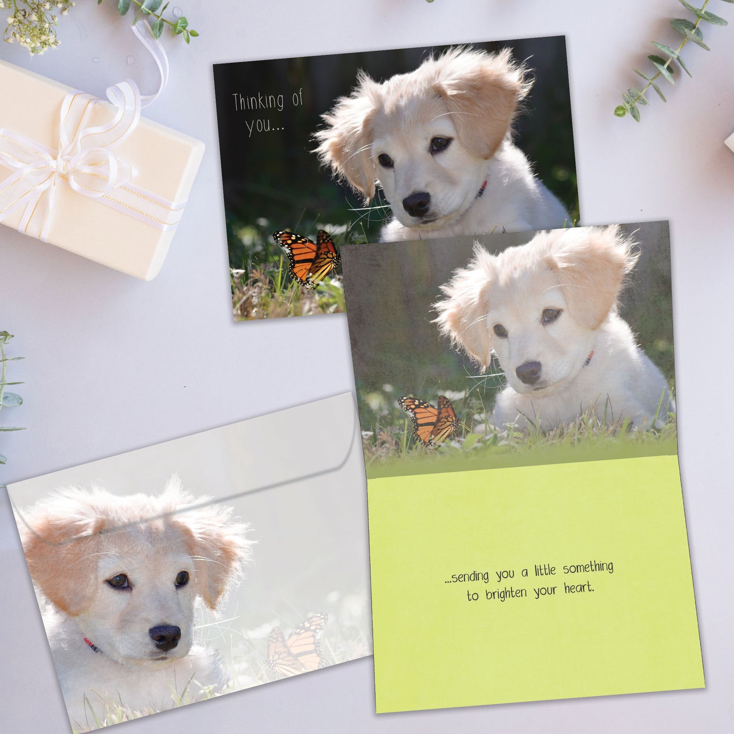 Butterfly Thoughts Friendship Card
