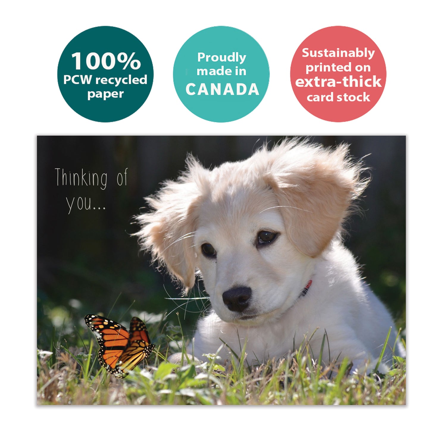 Butterfly Thoughts Friendship Card