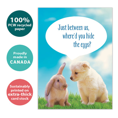 Easter Secret
