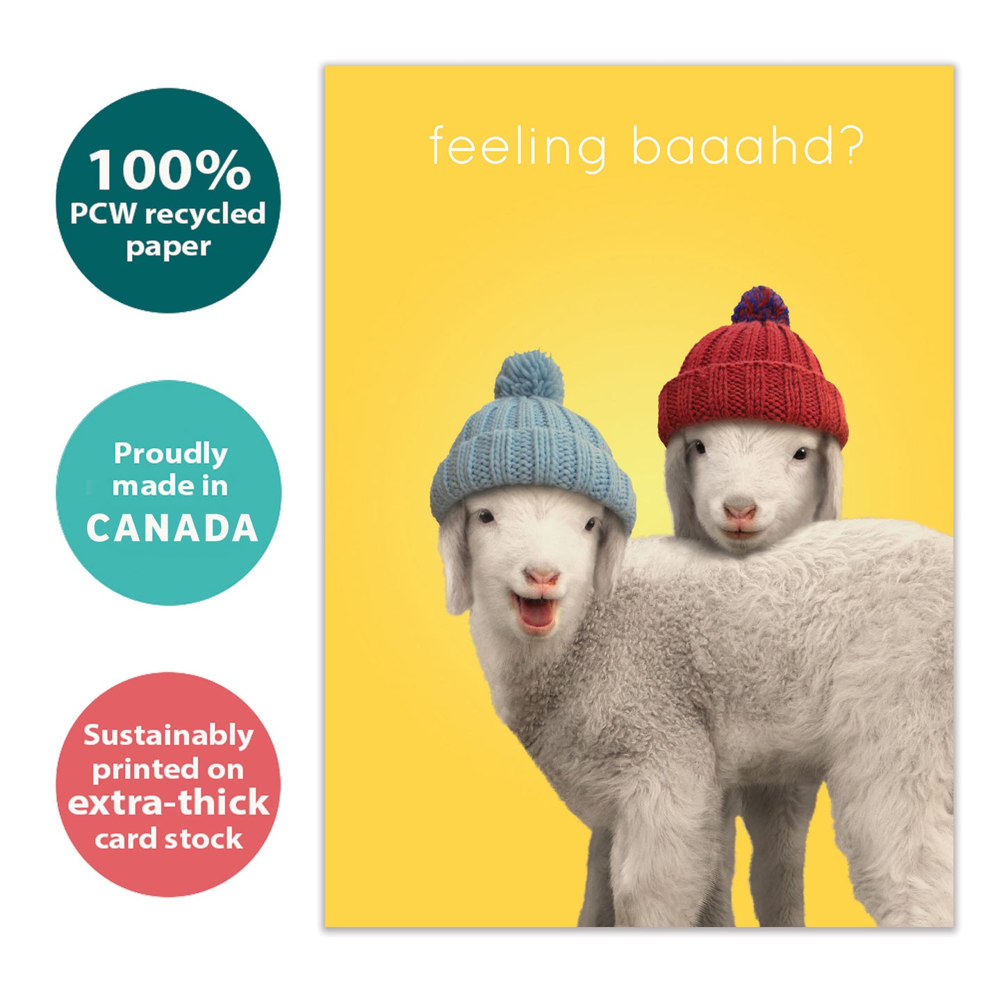 Feeling Baaahd Get Well Card
