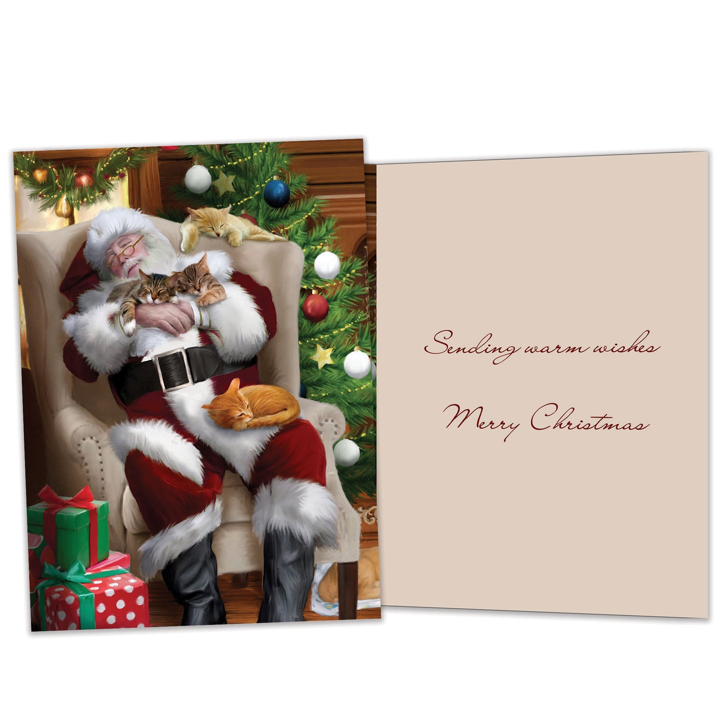 Cat Nap Santa Christmas Card