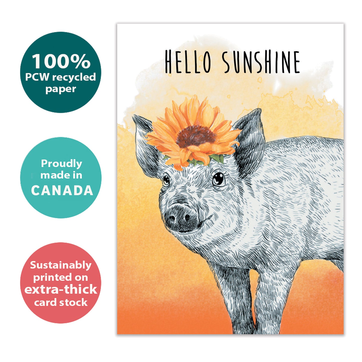 Hello Sunshine Thinking of You Card