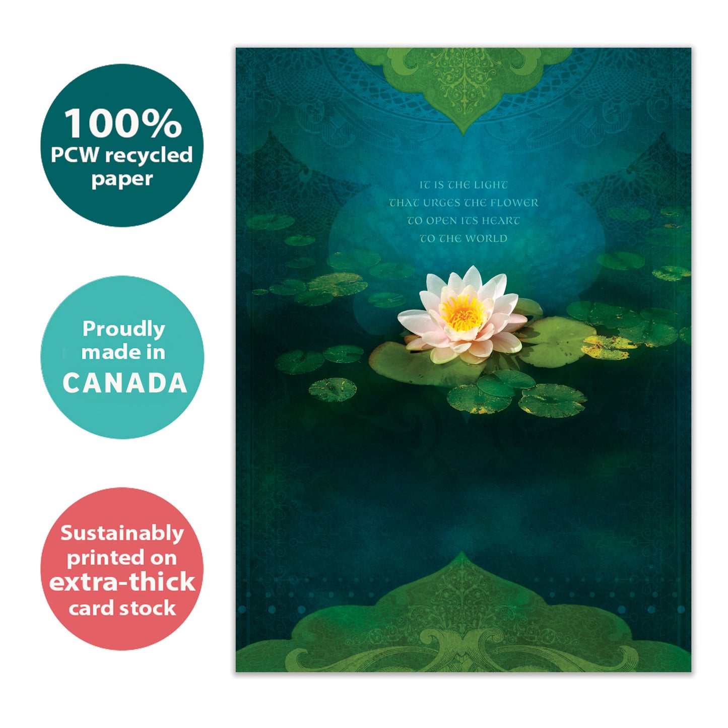 Bouquet of Light Friendship Card