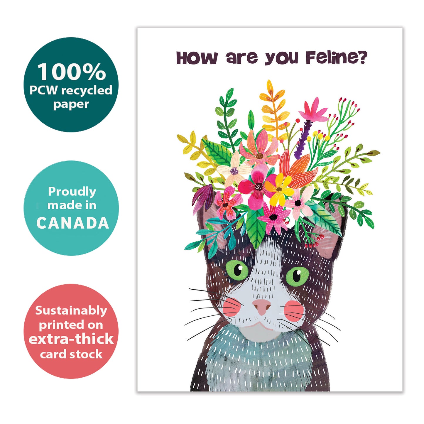 Purrrfect Self Get Well Card