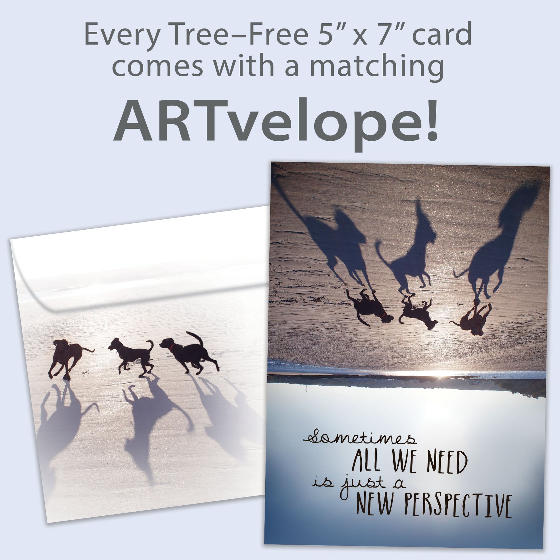 Front view of a birthday card featuring an upside-down image of dogs on a beach with a message about perspective, with matching envelope artwork.