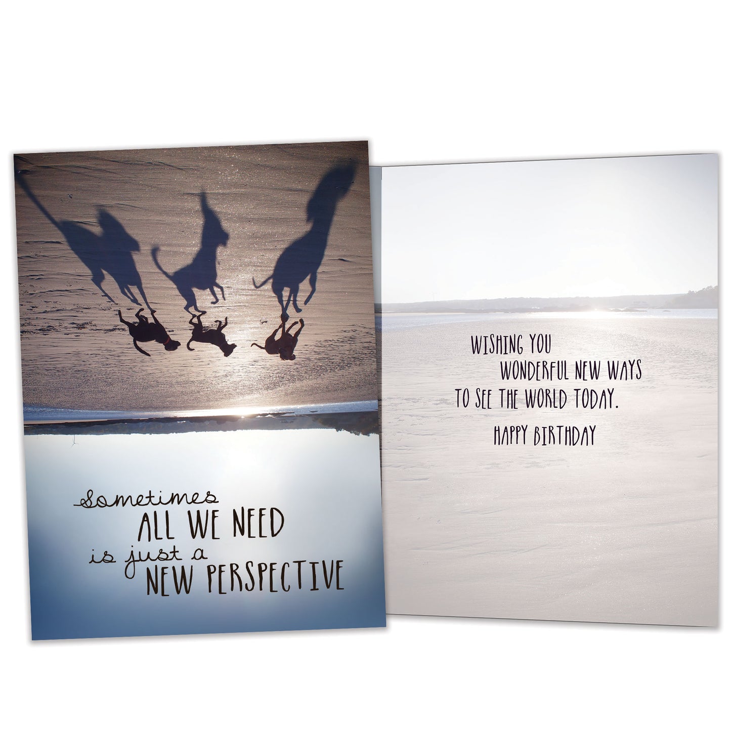 Front and inside view of a birthday card featuring an upside-down image of dogs on a beach with a message about perspective, with matching design details inside.