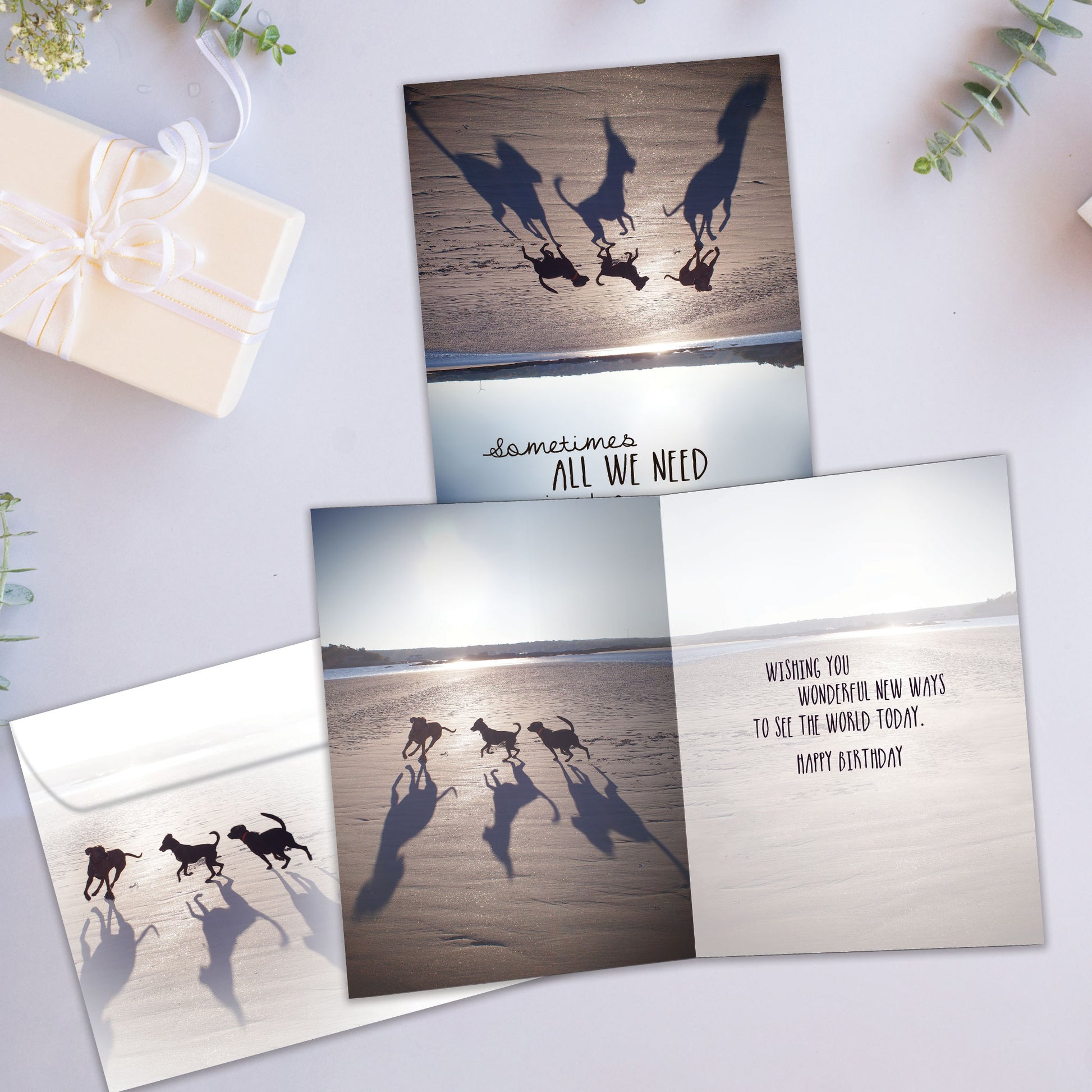 Front and inside view of a birthday card showcasing an upside-down image of dogs on a beach with a message about perspective, with a matching envelope.