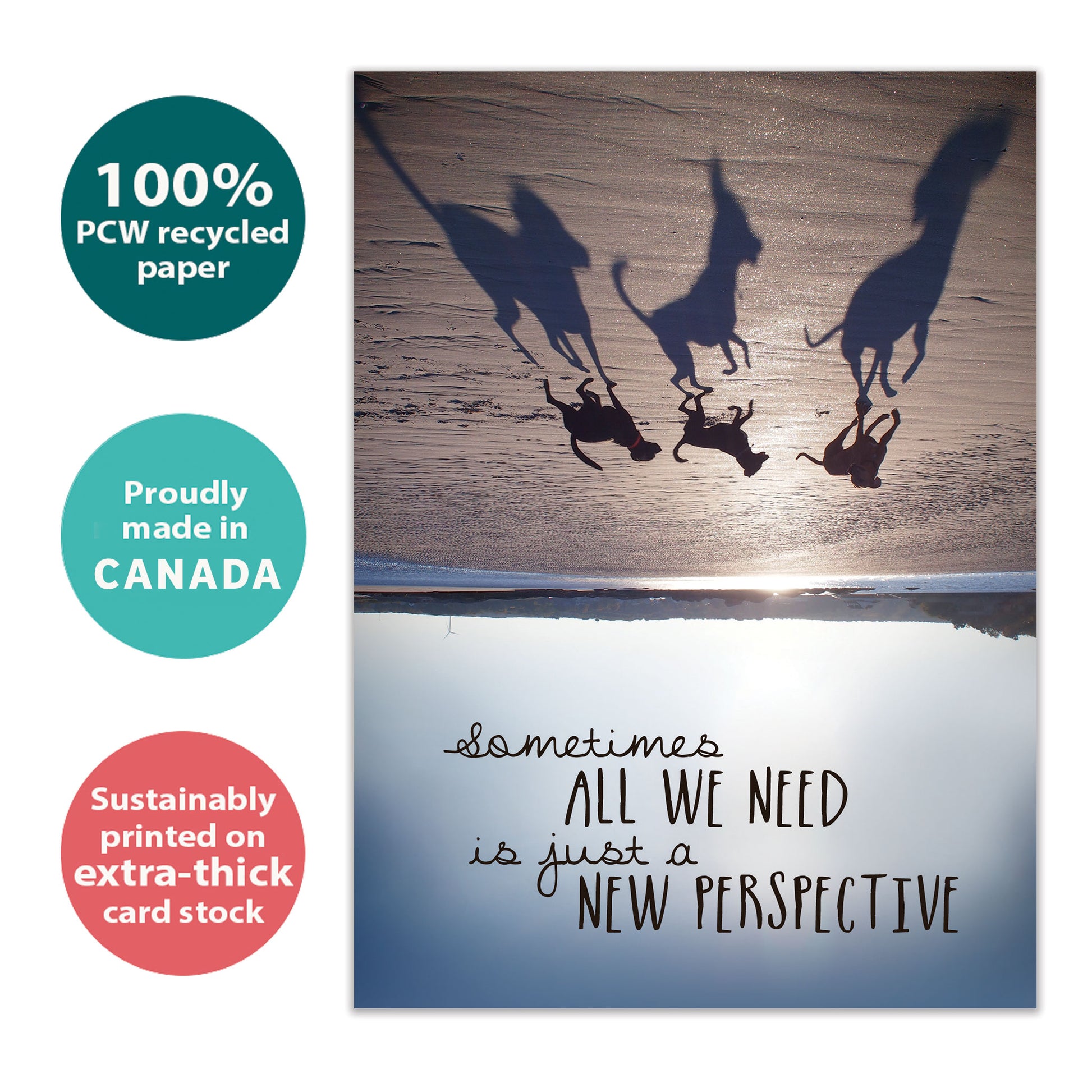 Front view of a birthday card with an upside-down image of dogs on a beach and a message about perspective, made with eco-friendly materials in Canada.