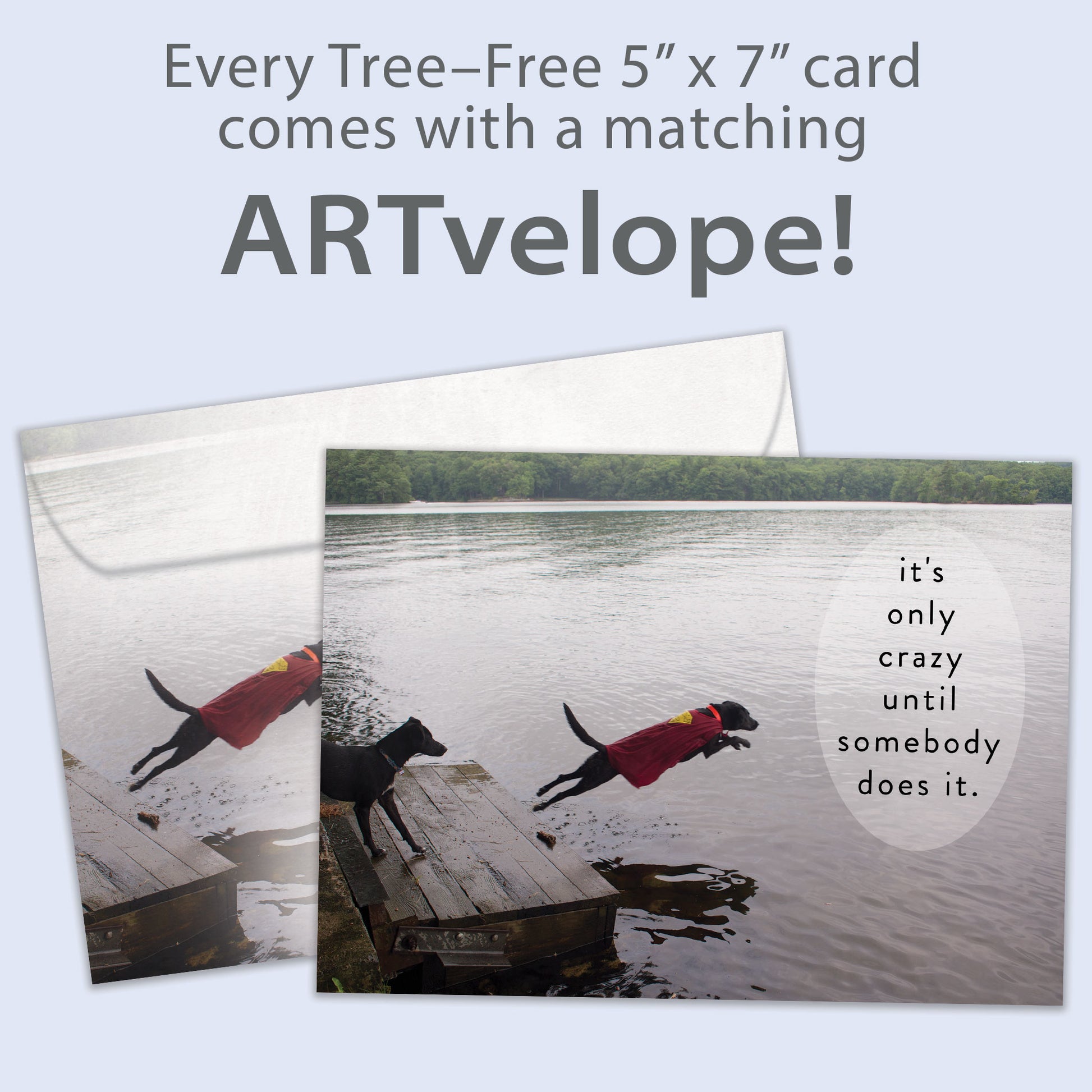 Front view of a birthday card featuring a photo of a dog jumping into the water and the message "It's only crazy until somebody does it," with matching envelope artwork.