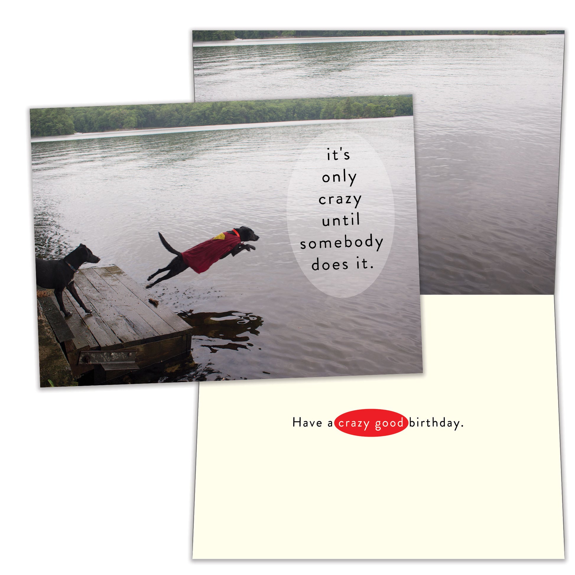 Front and inside view of a birthday card featuring a photo of a dog jumping into the water and the message "It's only crazy until somebody does it," with matching design details inside.