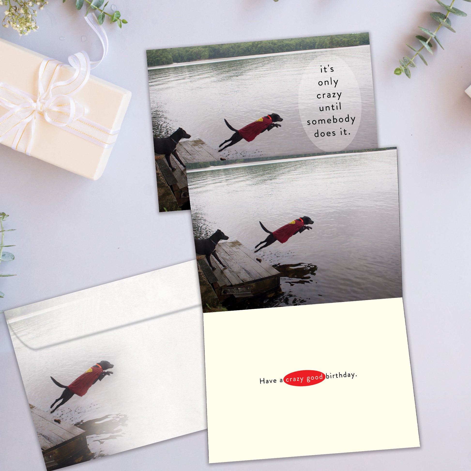 Front and inside view of a birthday card showcasing a photo of a dog jumping into the water and the message "It's only crazy until somebody does it," with a matching envelope.