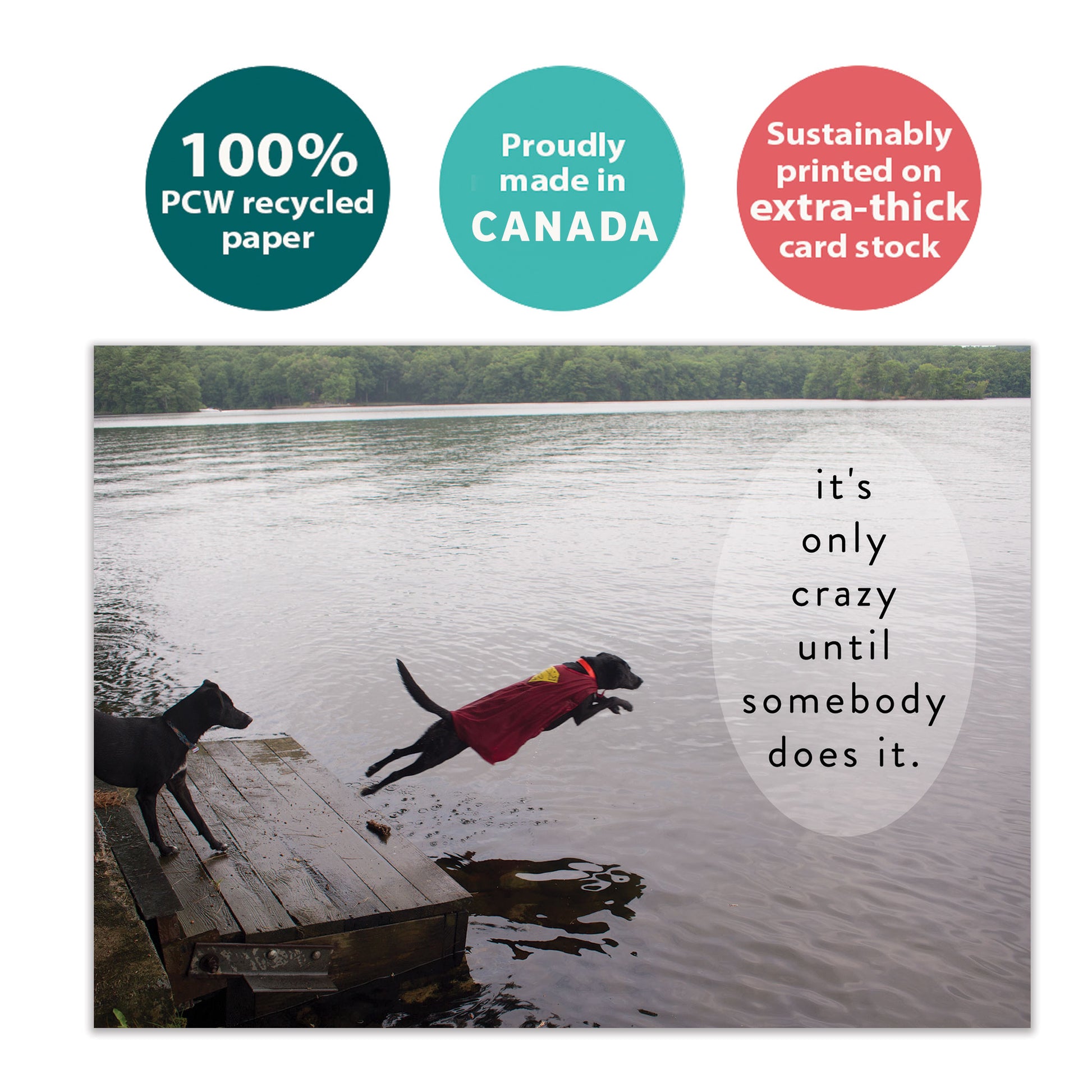 Front view of a birthday card with a photo of a dog jumping into the water and the message "It's only crazy until somebody does it," made with eco-friendly materials in Canada.