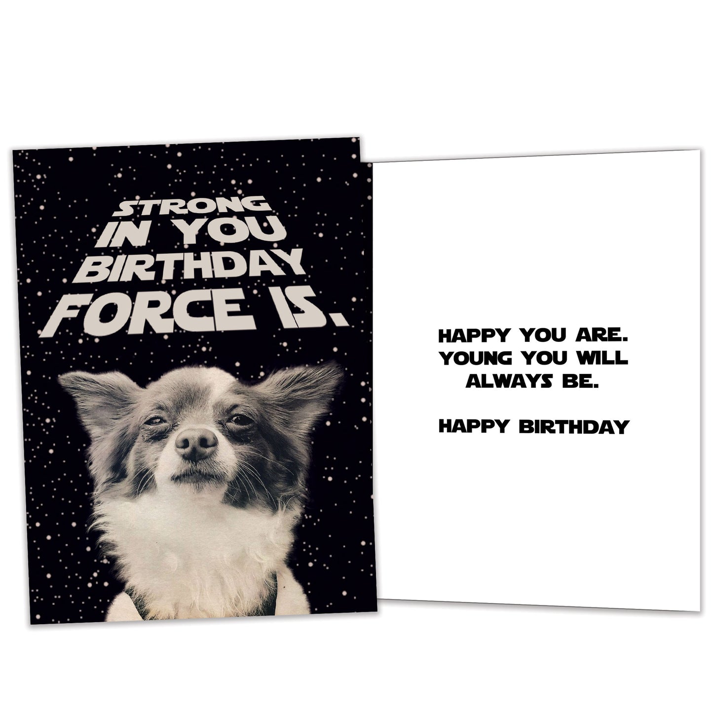 Birthday Force