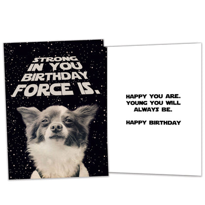 Birthday Force