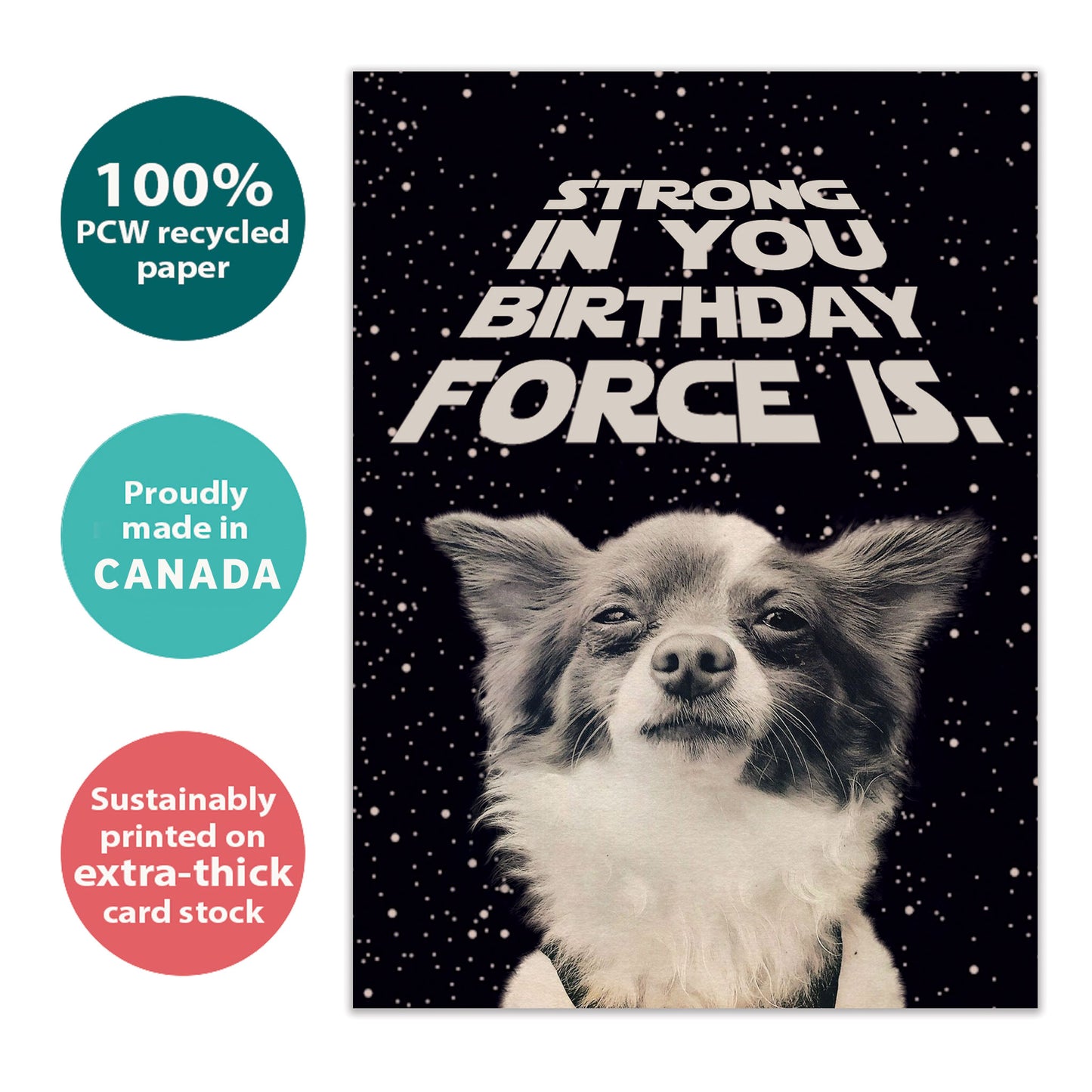 Birthday Force