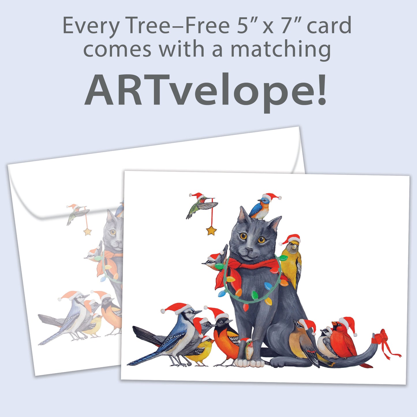 Cat Bird Christmas Christmas Card
