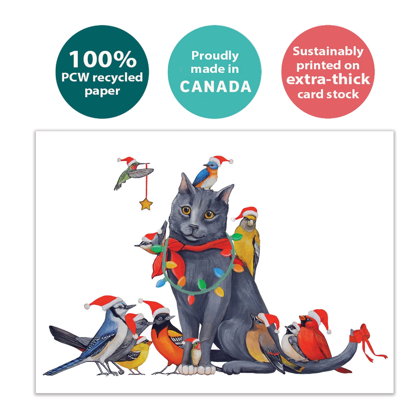 Cat Bird Christmas Christmas Card