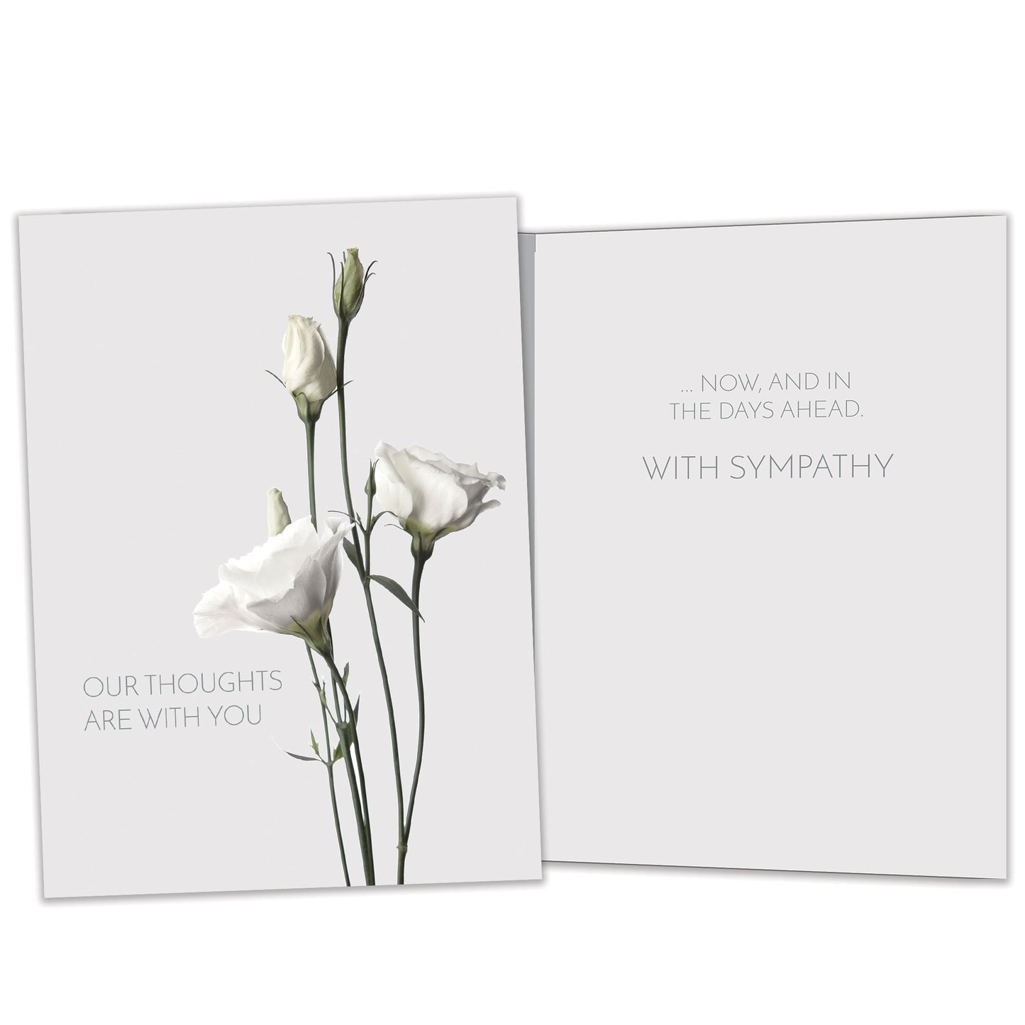 Elegant Thoughts Sympathy Card
