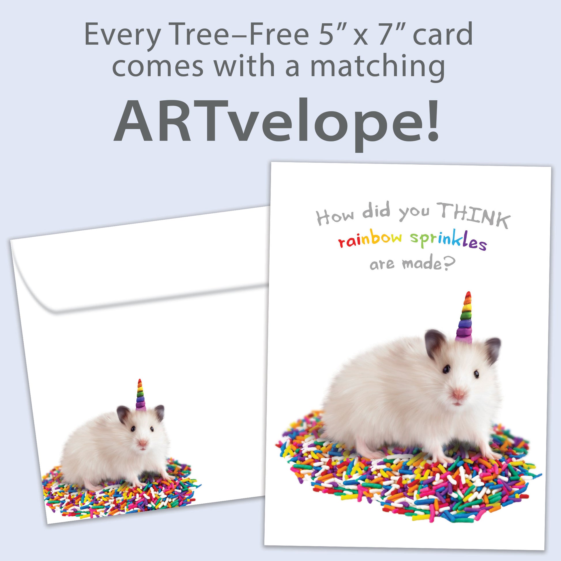 Front view of a Birthday greeting card featuring a hamster sitting on sprinkles with the message "how did you think sprinkles are made?", with matching envelope artwork.