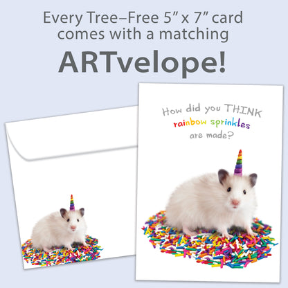 Front view of a Birthday greeting card featuring a hamster sitting on sprinkles with the message "how did you think sprinkles are made?", with matching envelope artwork.