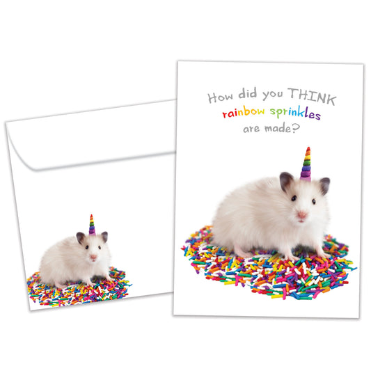 Front view of a Birthday greeting card featuring a hamster sitting on sprinkles with the message "how did you think sprinkles are made?", with a matching envelope.