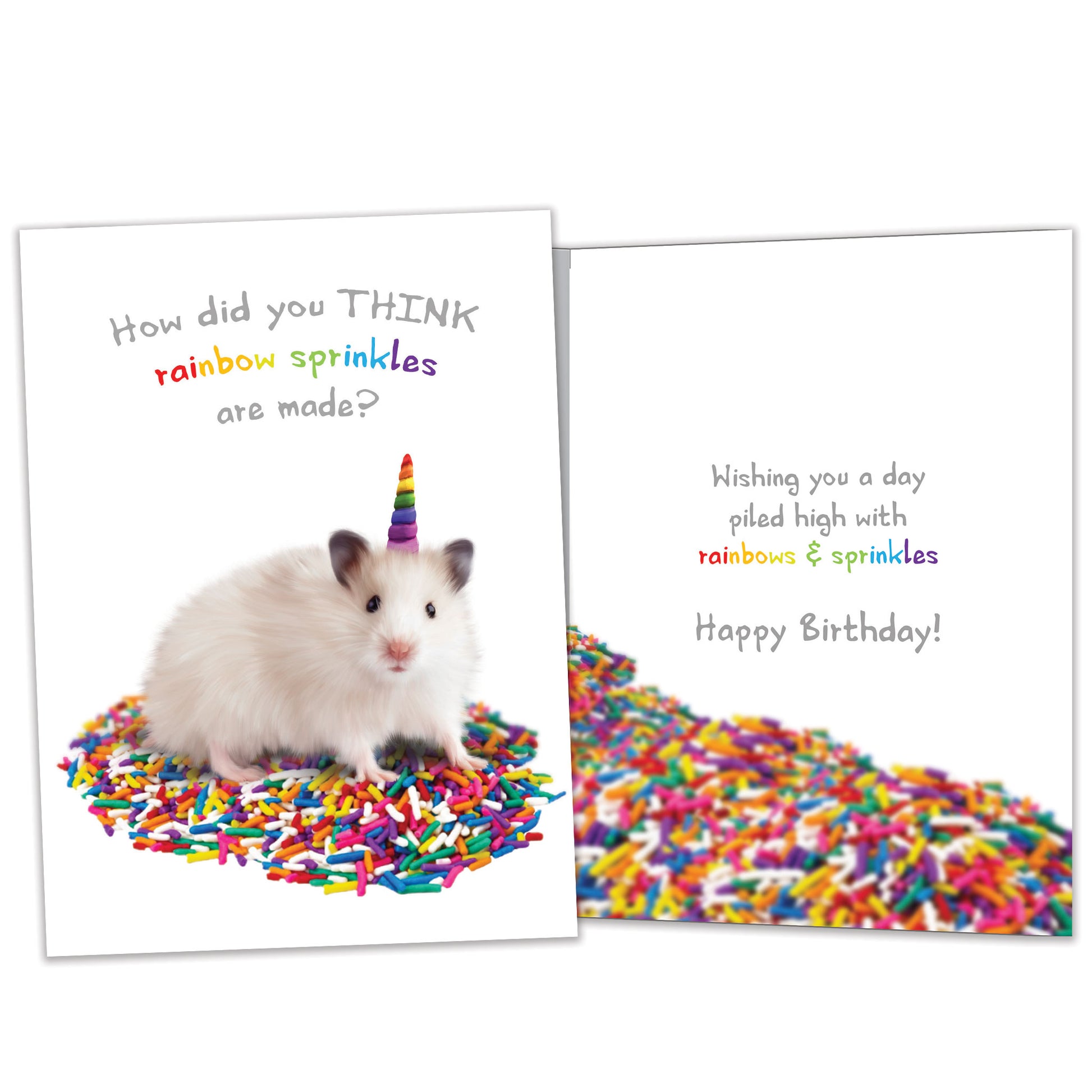 Front and inside view of a Birthday greeting card featuring a hamster sitting on sprinkles and the message "how did you think sprinkles are made?", with matching design details inside.