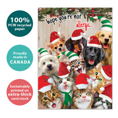 Selfie Pet Christmas Christmas Card