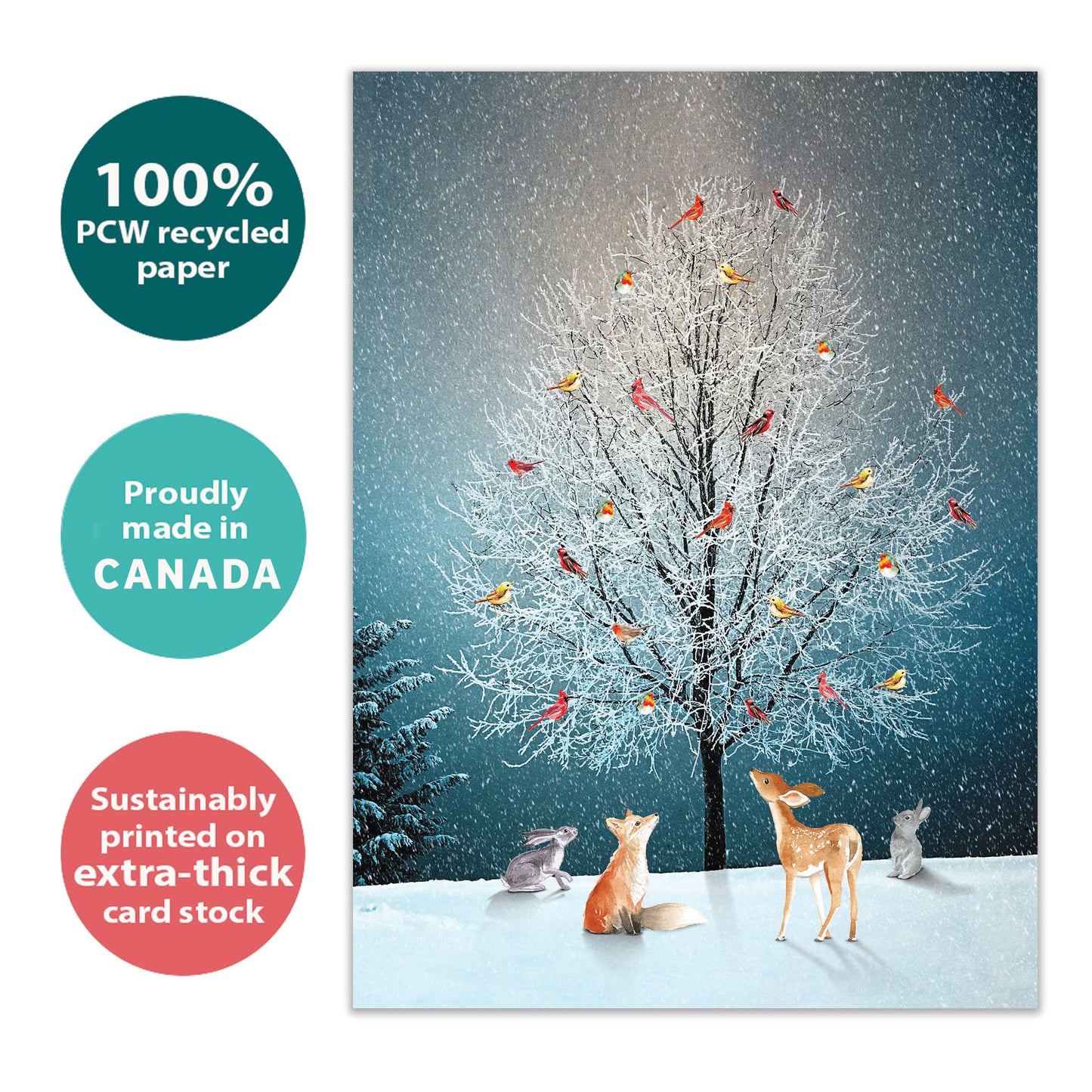 Bird Tree Holiday Card