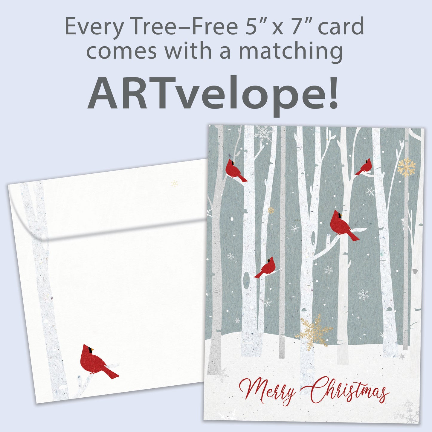 Christmas Cardinals Holiday Card