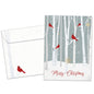 Christmas Cardinals Holiday Card