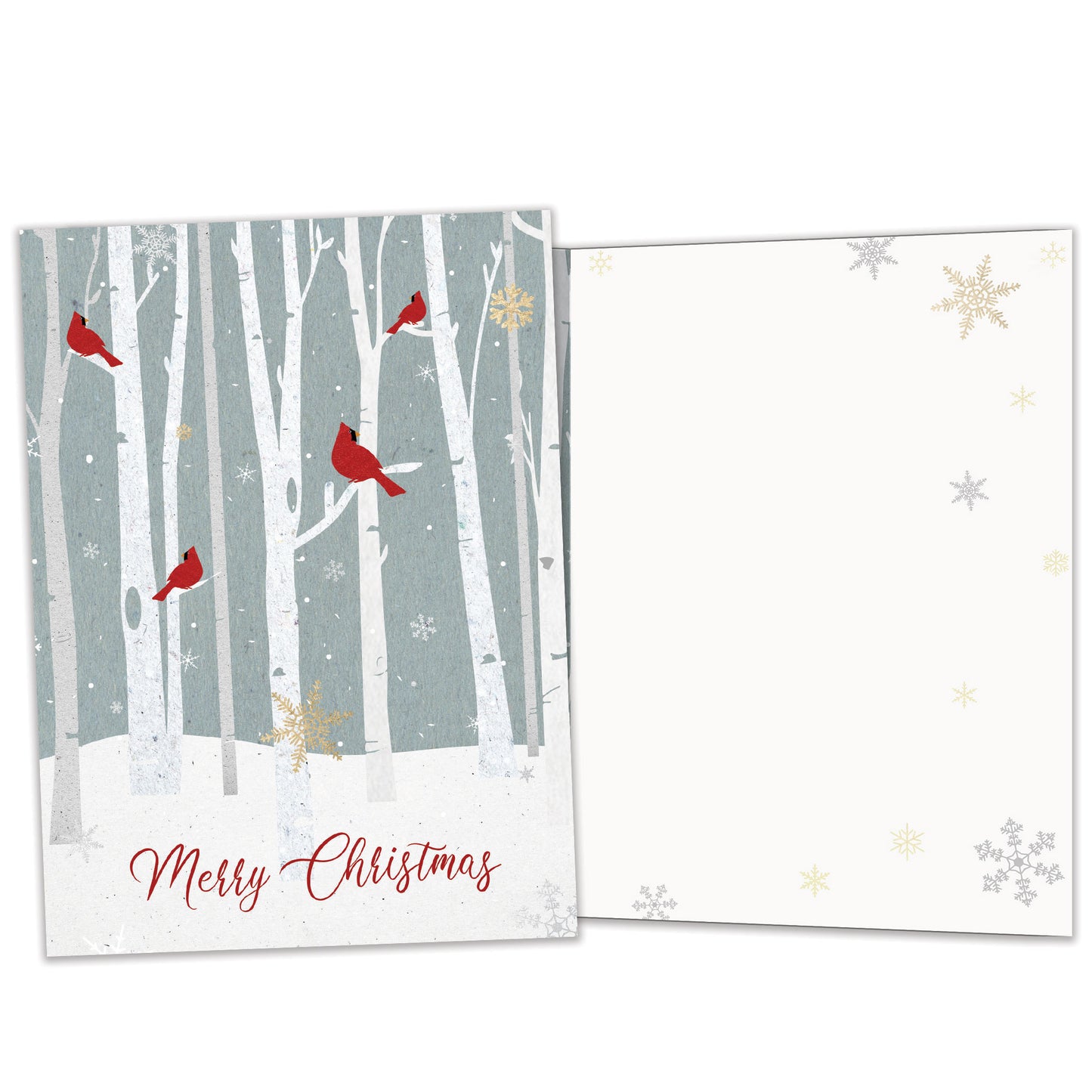 Christmas Cardinals Holiday Card