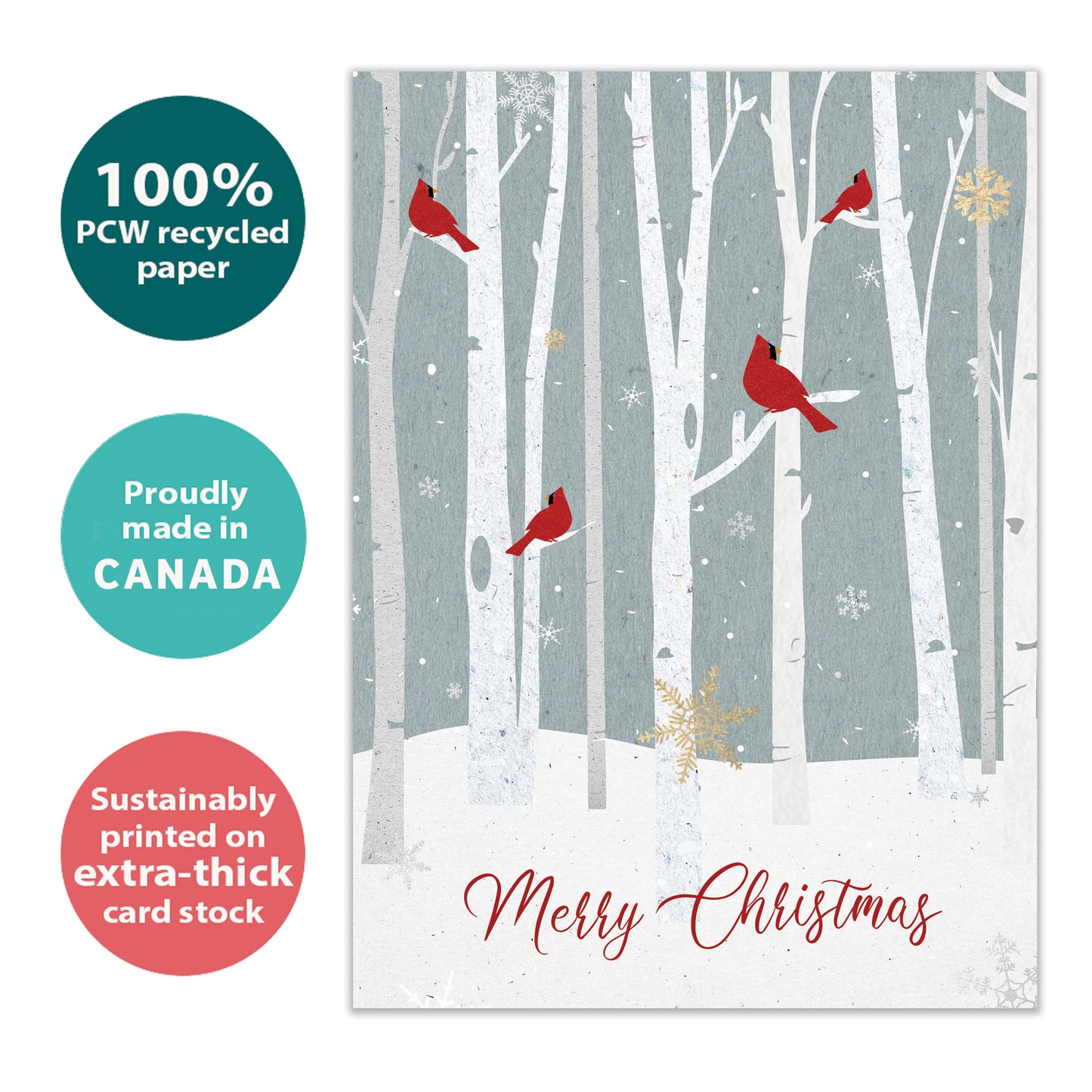 Christmas Cardinals Holiday Card