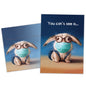 Front view of a Birthday greeting card featuring a bunny wearing a medical mask with the words "You can't see it...", with a matching envelope.
