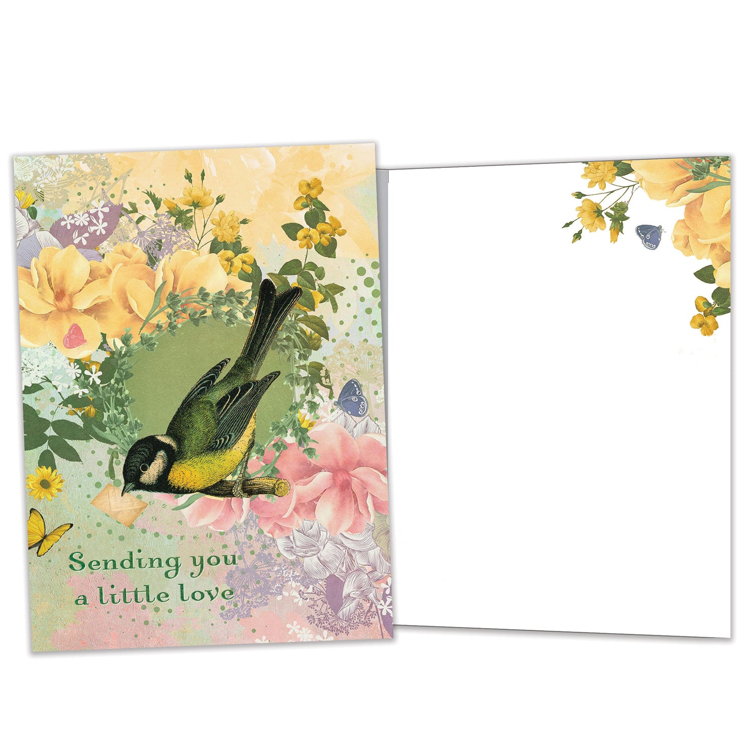 Sending Love Birdie Thinking of You Card