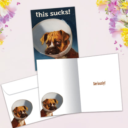 Cone of Shame Get Well Card