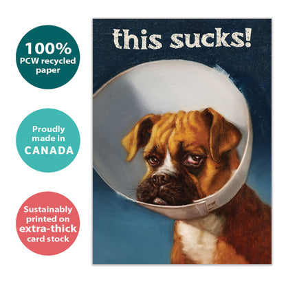 Cone of Shame Get Well Card