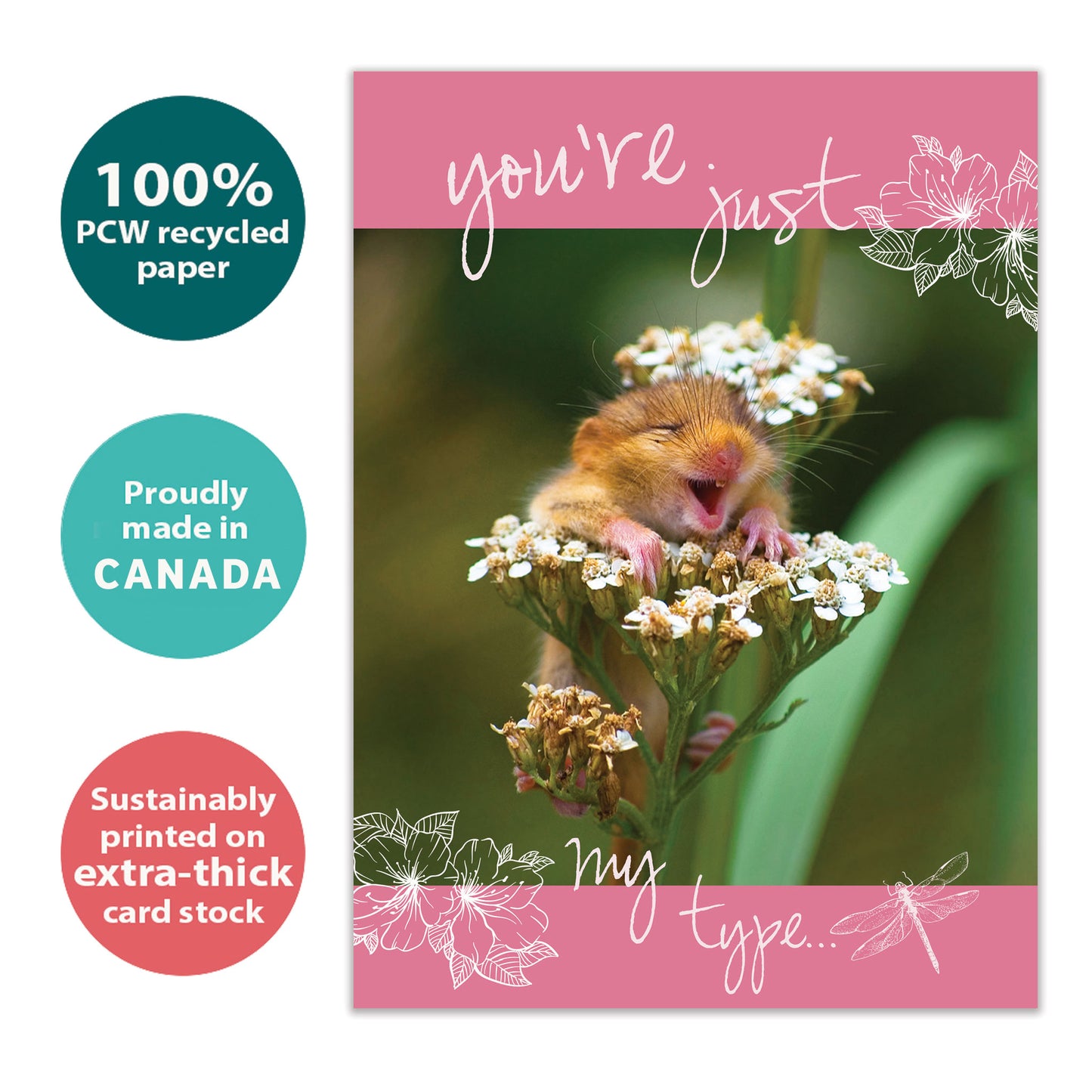 All-In Love Card