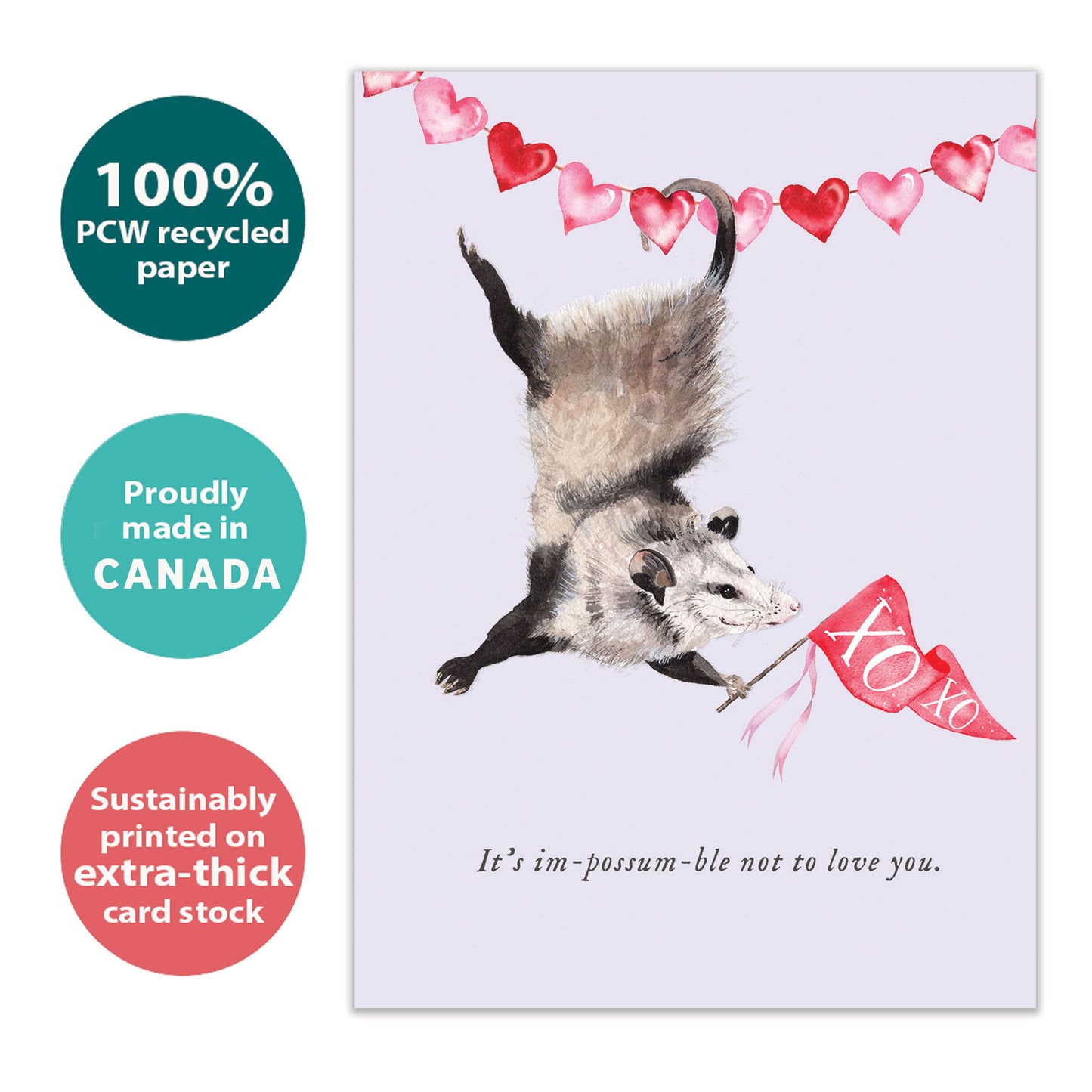 Possum Love Valentine’s Day Card