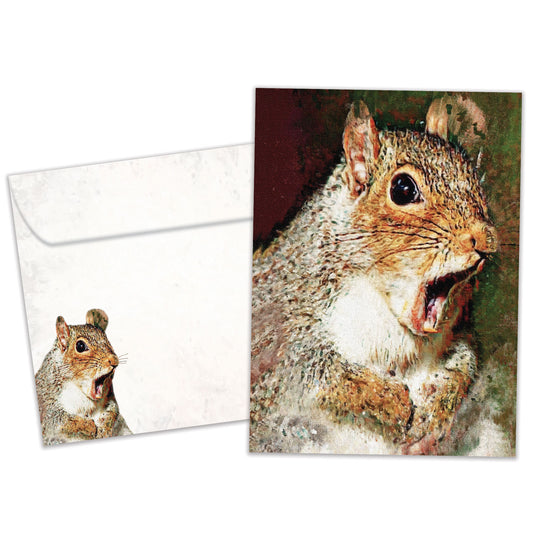 Front view of a Birthday greeting card featuring a very surprised squirrel, with a matching envelope.