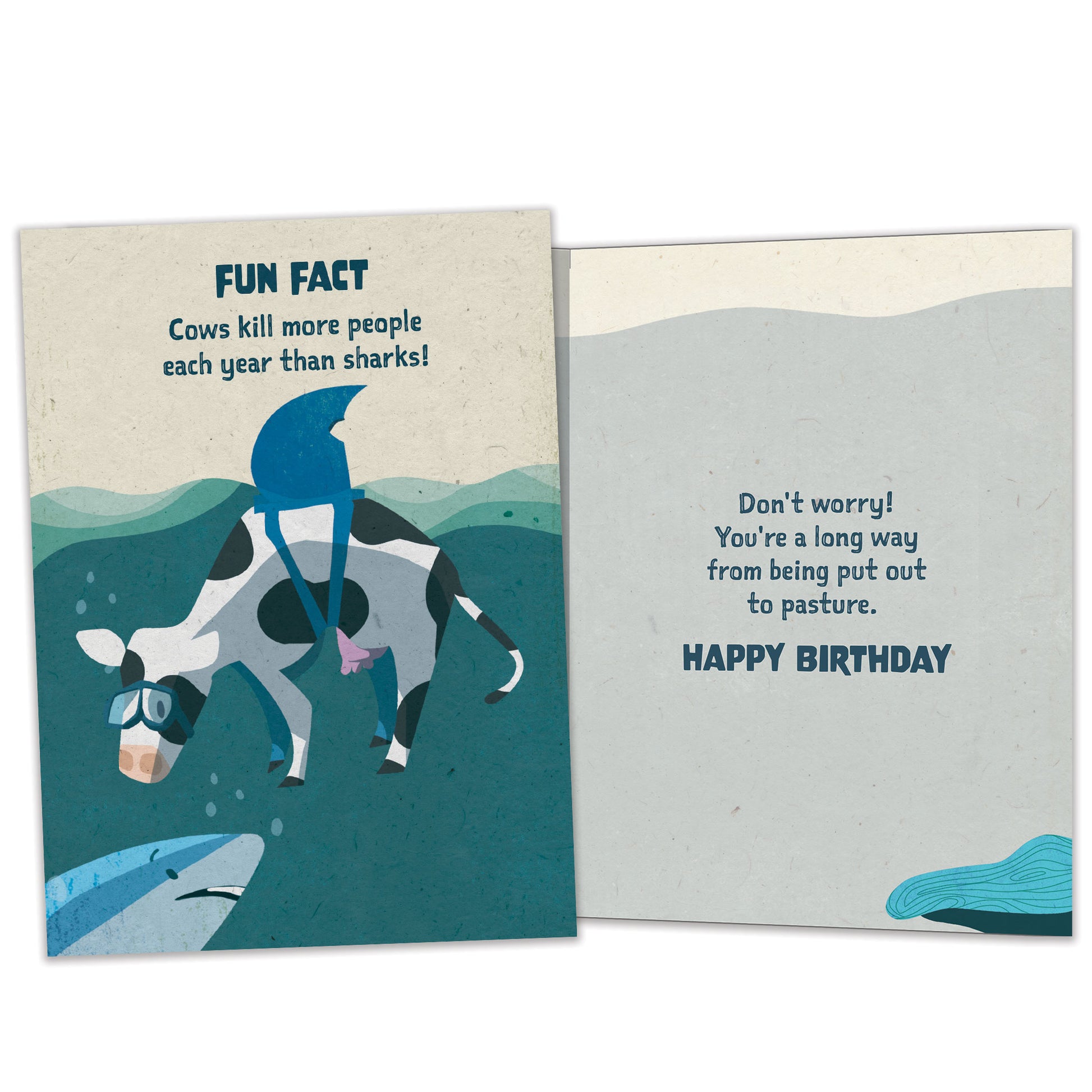 Front and inside view of a Birthday greeting card featuring a cow with a shark’s fin and a fun fact about cows and sharks, with matching design details inside.