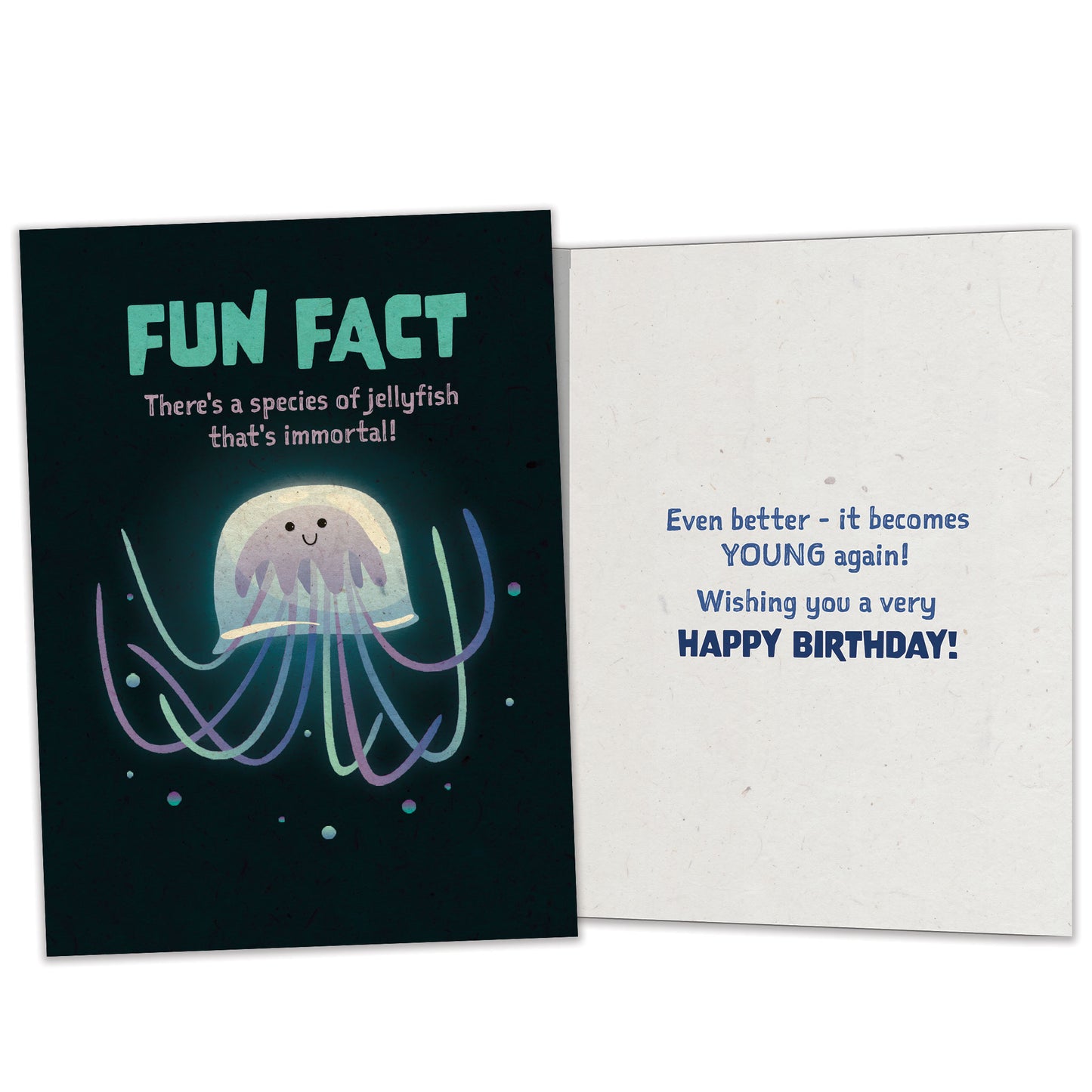 Jellyfish Fun Fact Birthday Card