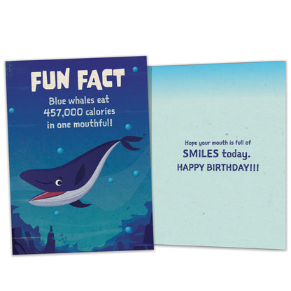 Whale Fun Fact Birthday Card