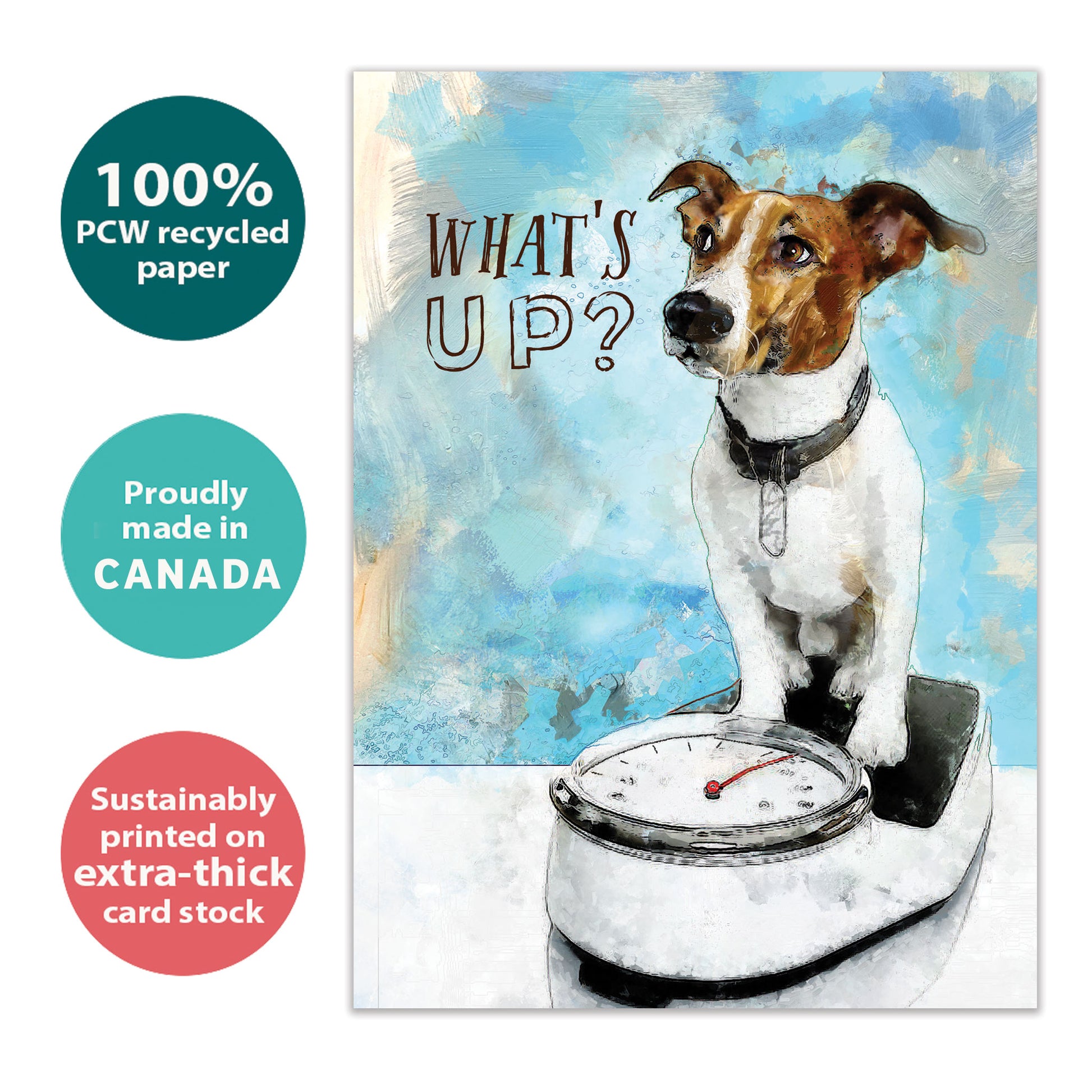 Front view of a Birthday greeting card with a dog on a scale and the words "what's up?", highlighting its eco-friendly materials and made in Canada.