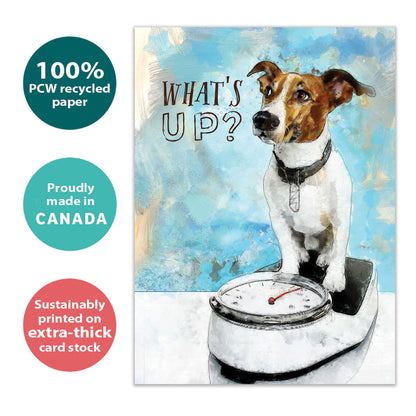Front view of a Birthday greeting card with a dog on a scale and the words "what's up?", highlighting its eco-friendly materials and made in Canada.