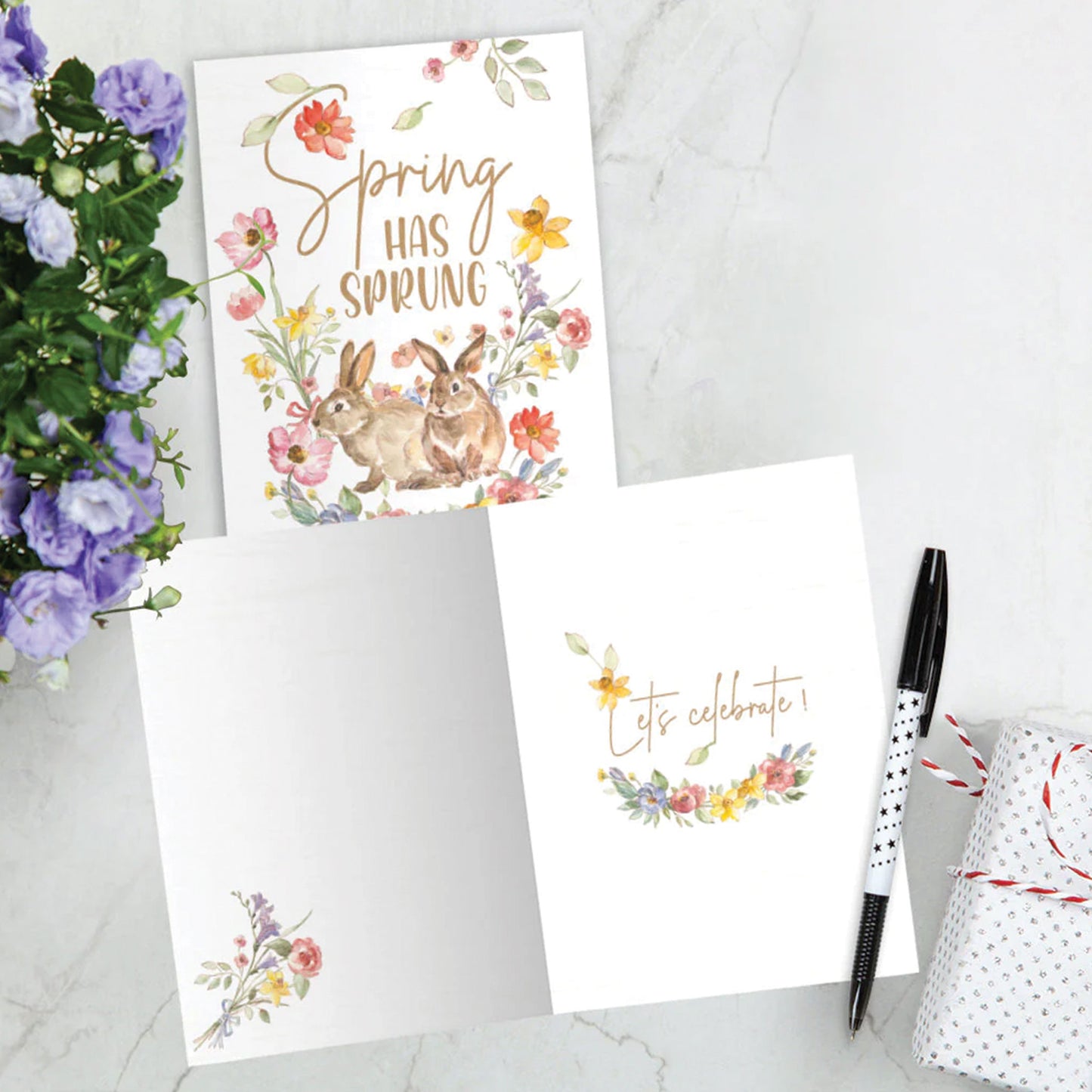 Spring Has Sprung Easter Card